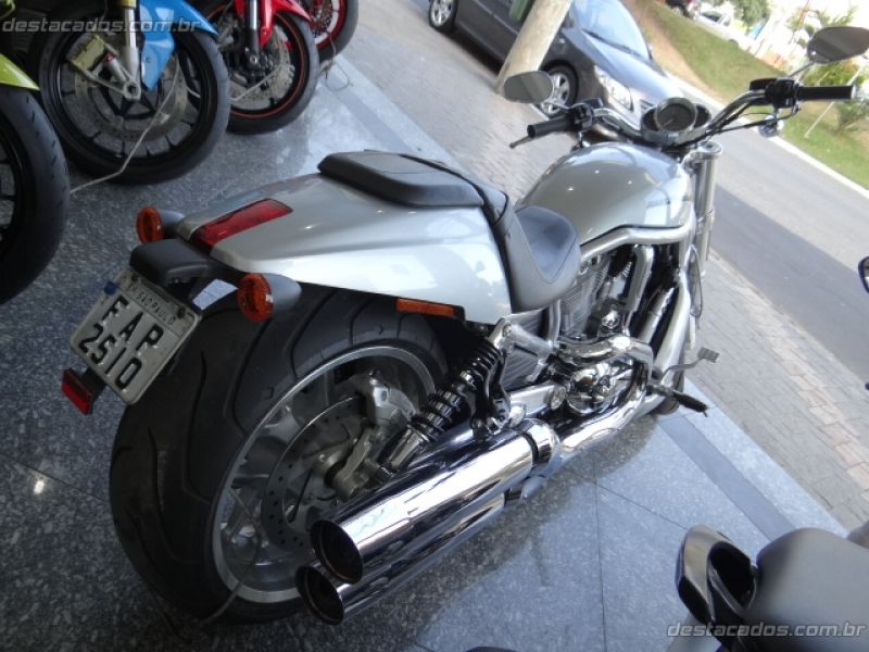 V-ROD MUSCLE - PRATA 