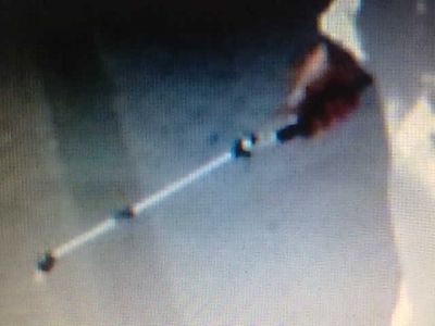 dedetizadora 11 2303-5217 ,7303-3441