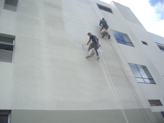PIntura e textura 2682 0064