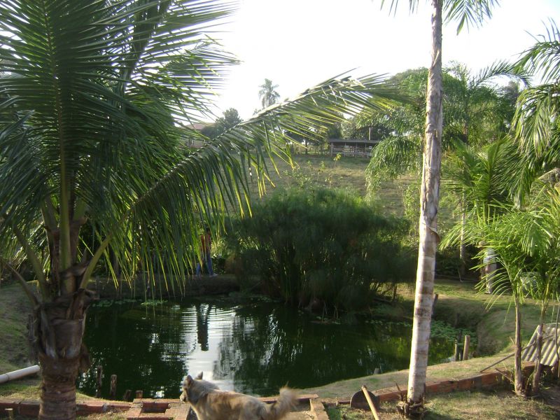 AGI 540, Chacara em Cerquilho, escriturada, tranquilidade, conforto 