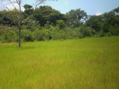 sitios, chacaras e fazendas.