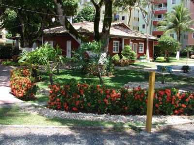 More em meio as arvores