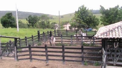 Vendo fazenda 700 alq. Vale do Jequitinhonha/Joaima