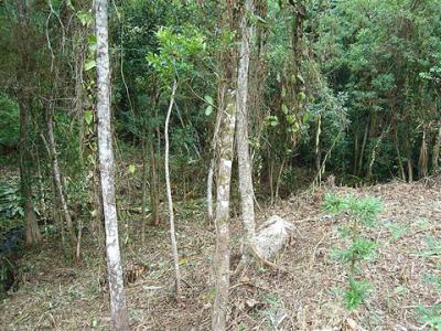 Terreno à venda em Angra dos Reis com vista para o mar