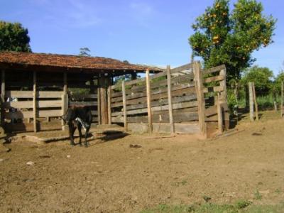 Linda Propriedade Rural