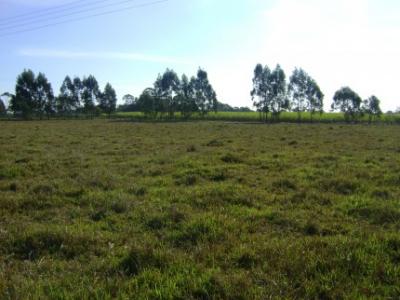 Linda Propriedade Rural