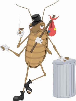 ddf dedetizadora controle de pragas.