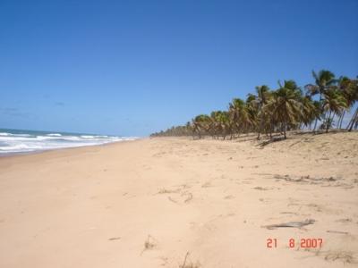 Terrenos à beira-mar no litoral norte da Bahia 