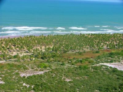 Terrenos à beira-mar no litoral norte da Bahia 