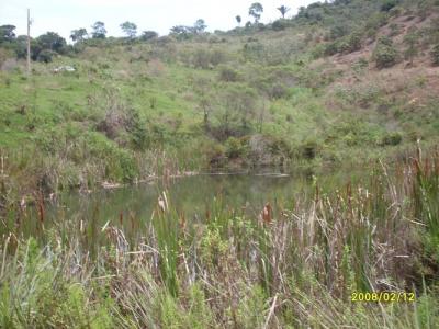 Vendo/troco fazenda e terreno em Itambé do Mato Dentro -Particular