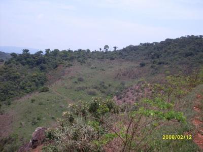 Vendo/troco fazenda e terreno em Itambé do Mato Dentro -Particular