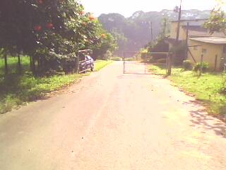 TERRENO FRANCO DA ROCHA