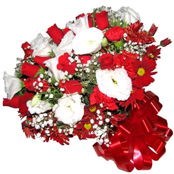 TELEMENSAGEM POR AMMMOR