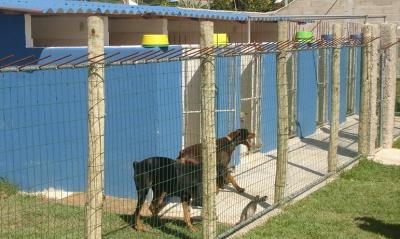 HOTEL / HOSPEDAGEM DE CÃES TODAS AS RAÇAS E TAMANHOS 