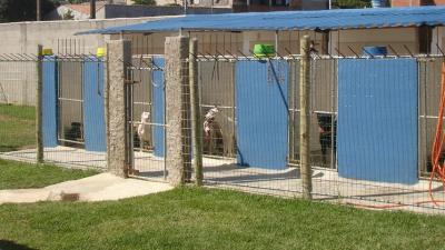HOTEL / HOSPEDAGEM DE CÃES TODAS AS RAÇAS E TAMANHOS 
