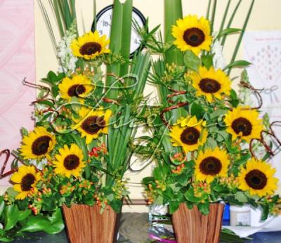 Comprar flores – Floricultura Festejare
