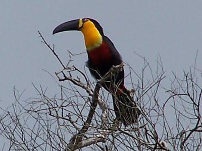 CASA NA PRAIA GRANDE - SP