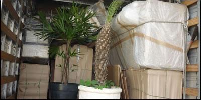 SP para BH mudanças em todo Brasil 31-33336677