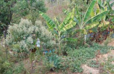 Terreno Jd Angela - Vila Calú 250m2 Doc escritura em dia 100%