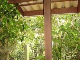 Vendo pequeno paraíso... Lagoa da Conceição - Florianópolis - SC