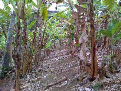 LINDA CHACARA A VENDA NA REPRESA