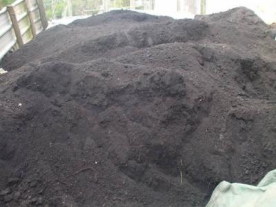 TERRA PRETA ADUBADA E PLASTAS ORNAMENTAIS