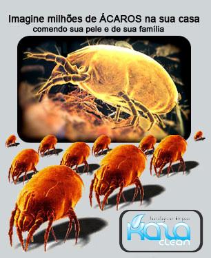 Limpeza Estofado Residencial e Empresarial - Kaza Clean - Limpeza e Impermeabilização