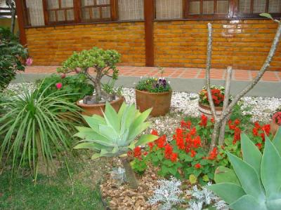 BETTINA LANDA - INSUMOS E PAISAGISMO