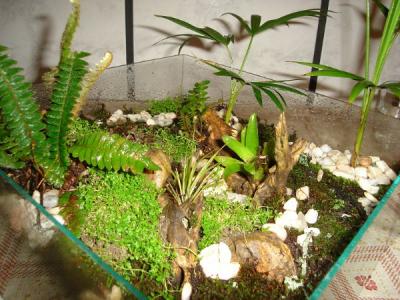 BETTINA LANDA - INSUMOS E PAISAGISMO