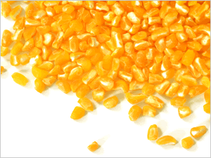 Vender produtos derivados do milho