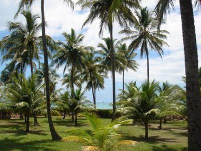 Duas casas de madeira prefabricadas em frente ao mar