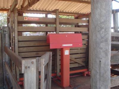 FAZENDA  500HA MONTADA BEIRA DO ASFALTO