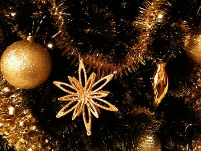 Decosrção de Natal - árvores e ambientes