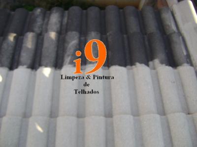 i9 LIMPEZA E PINTURA DE TELHADOS