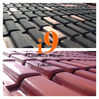 i9 LIMPEZA E PINTURA DE TELHADOS