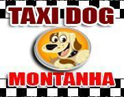 TAXI DOG MONTANHA TRANSPORTE DE CÃES E GATOS