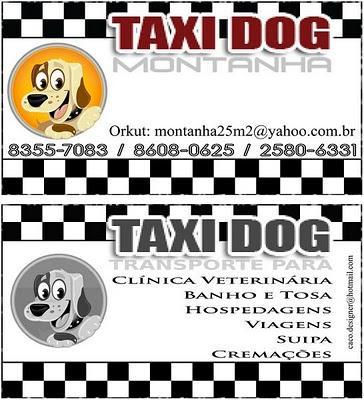 TAXI DOG MONTANHA TRANSPORTE DE CÃES E GATOS
