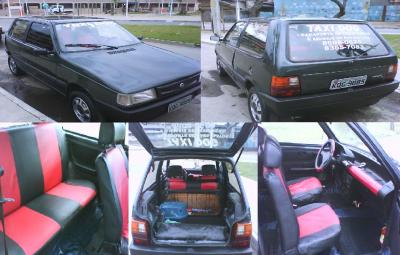 TAXI DOG MONTANHA TRANSPORTE DE CÃES E GATOS