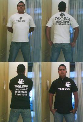 TAXI DOG MONTANHA TRANSPORTE DE CÃES E GATOS NO RIO DE JANEIRO