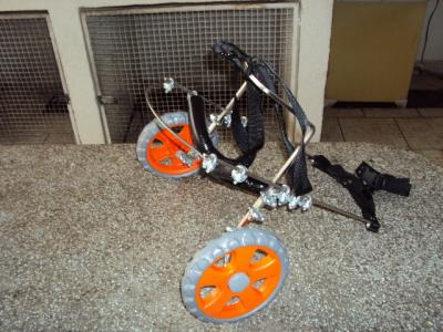 CADEIRAS DE RODAS PARA CÃES E GATOS
