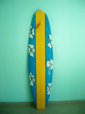 Funboard 7.5 Direto da Fabrica Shaper Carlos Lima