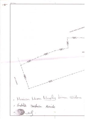 VENDO TERRENO PRAIA DA PIPA