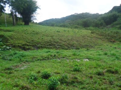 SÍTIO COM 14 ALQUEIRES