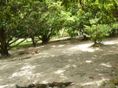 Plot Eldorado in Brazil. BR 101 North km 50. Goiana/PE