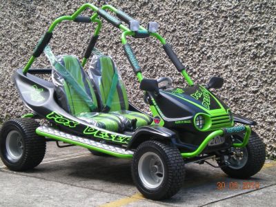 Mini Buggy's Embu
