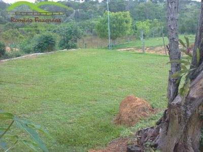 FAZENDA CURVELO com 145 Ha