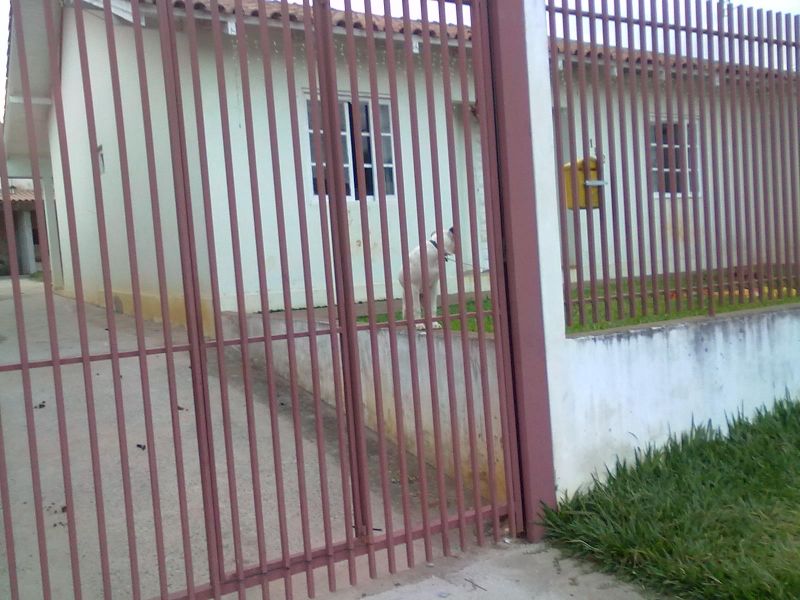 Casa para venda na vila nova