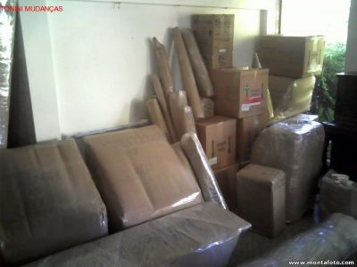 TRANSPORTADORA TONINI MUDANCAS E GUARDA-MÓVEIS