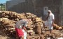 corte epoda de arvores limpeza de terreno