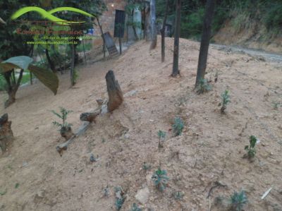 casa em uma área de 800 mt